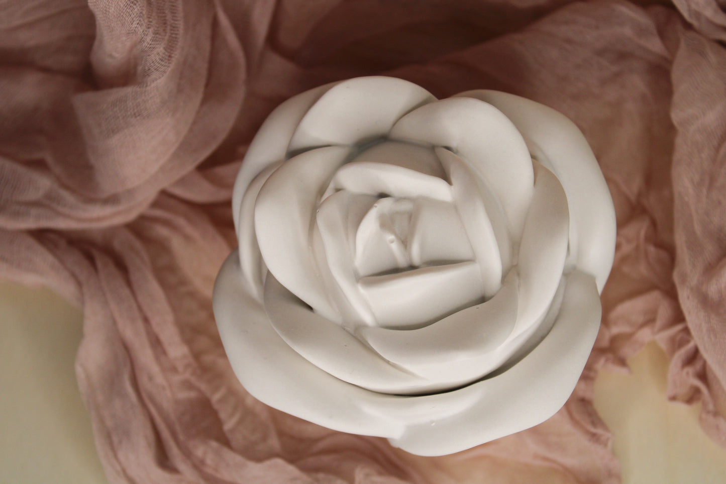 Flor de Afeto