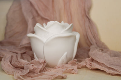 Flor de Afeto
